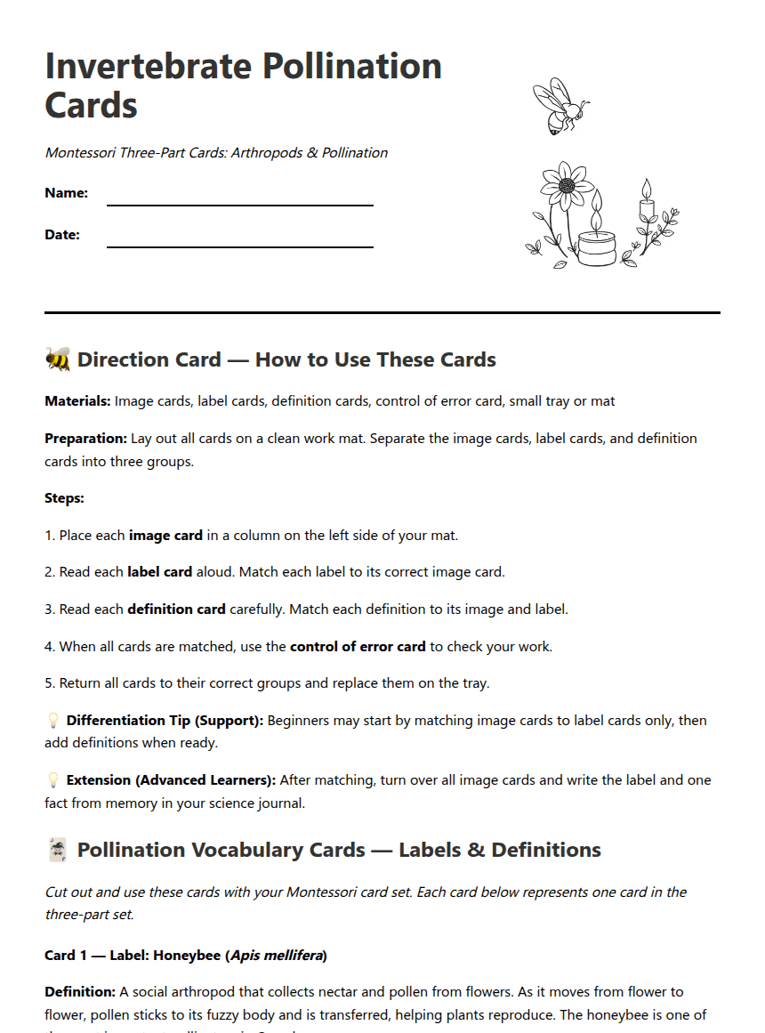 Invertebrate Pollination Cards worksheet preview