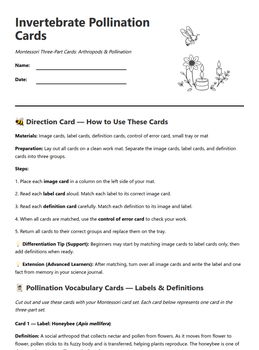 Invertebrate Pollination Cards