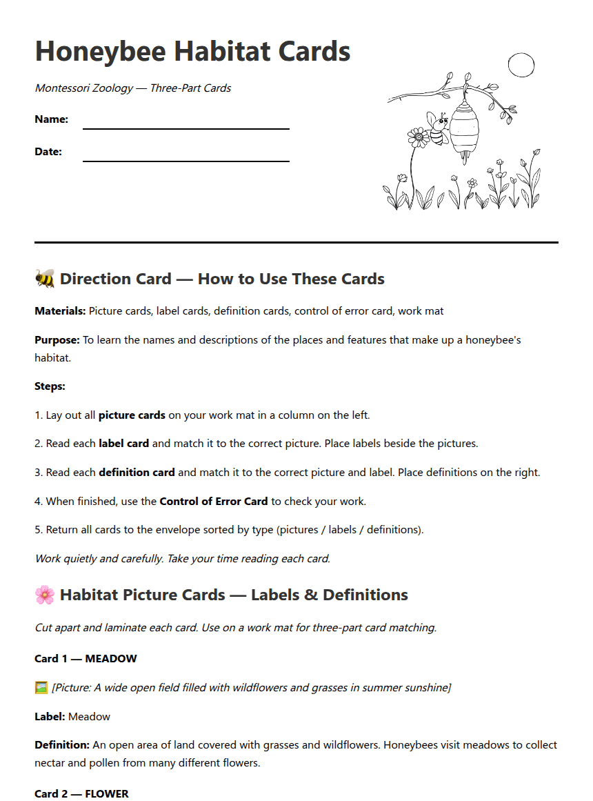 Honeybee Habitat Cards worksheet preview