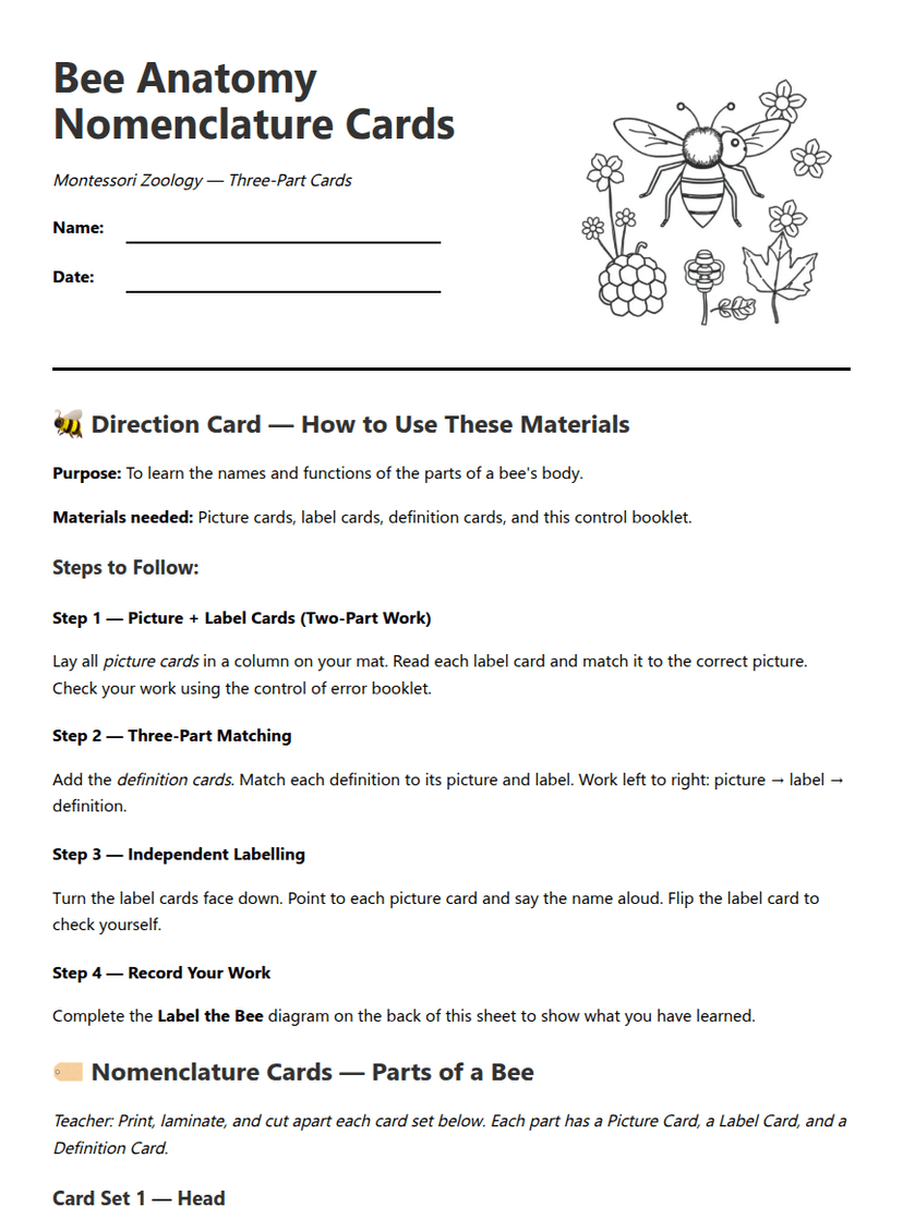 Bee Anatomy Nomenclature Cards