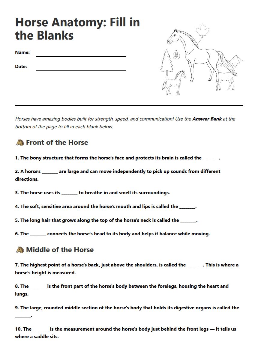 Horse Anatomy Fill-in Worksheet worksheet preview