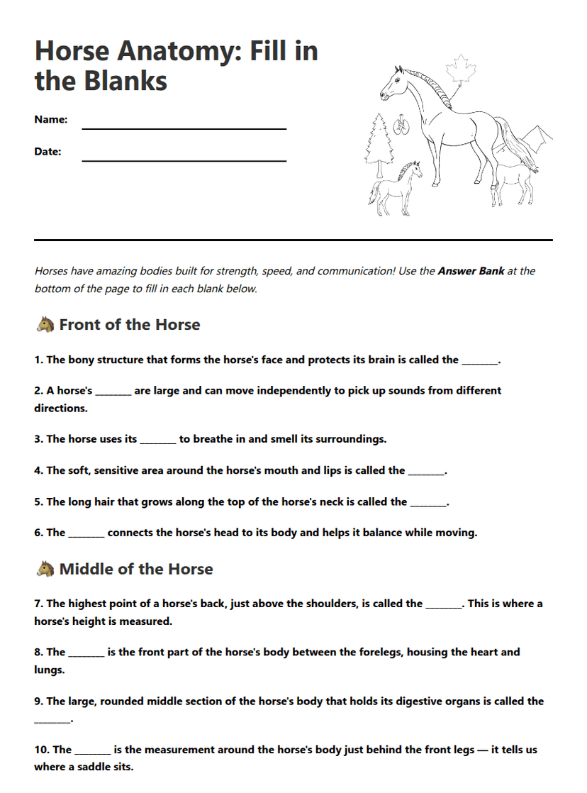 Horse Anatomy Fill-in Worksheet
