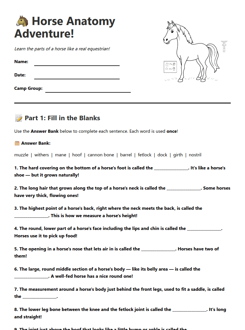 Horse Anatomy Adventure Worksheet worksheet preview