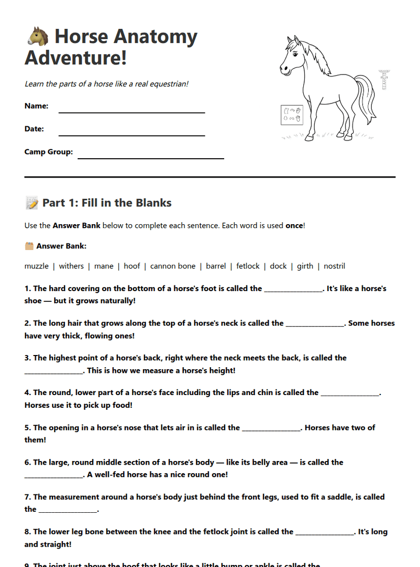 Horse Anatomy Adventure Worksheet