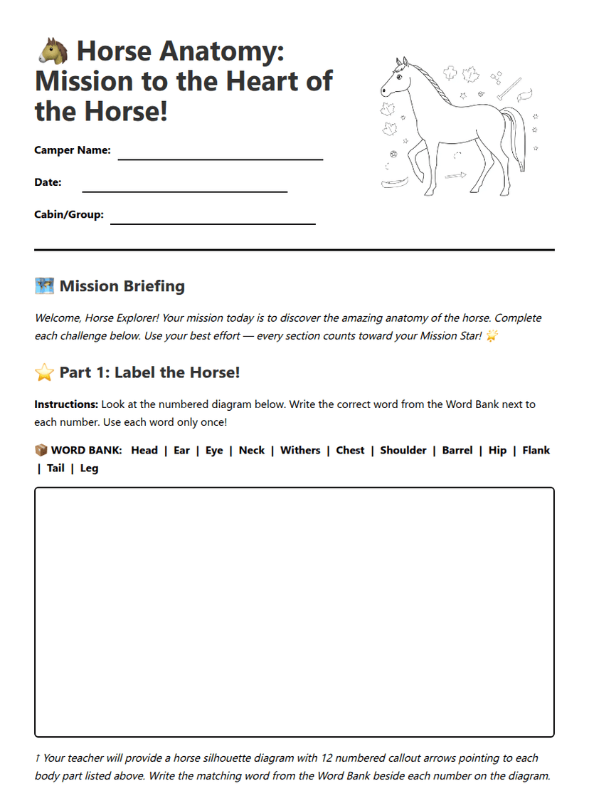Horse Anatomy Adventure Worksheet