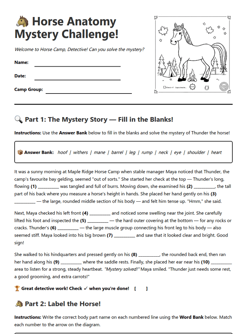 Horse Anatomy Adventure Quest