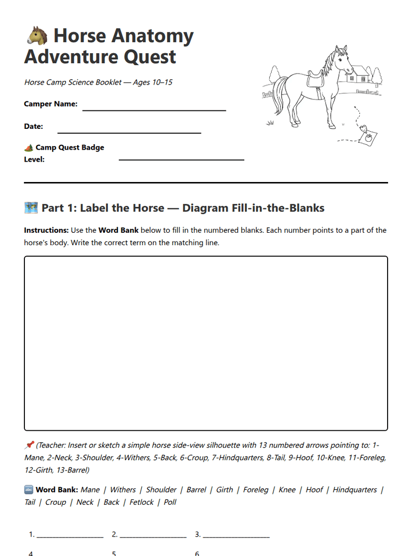 Horse Anatomy Adventure Quest