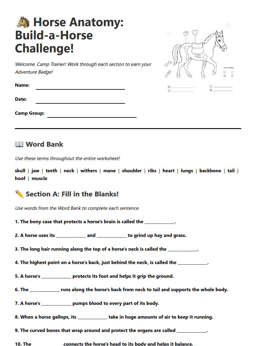 Horse Anatomy Adventure worksheet preview