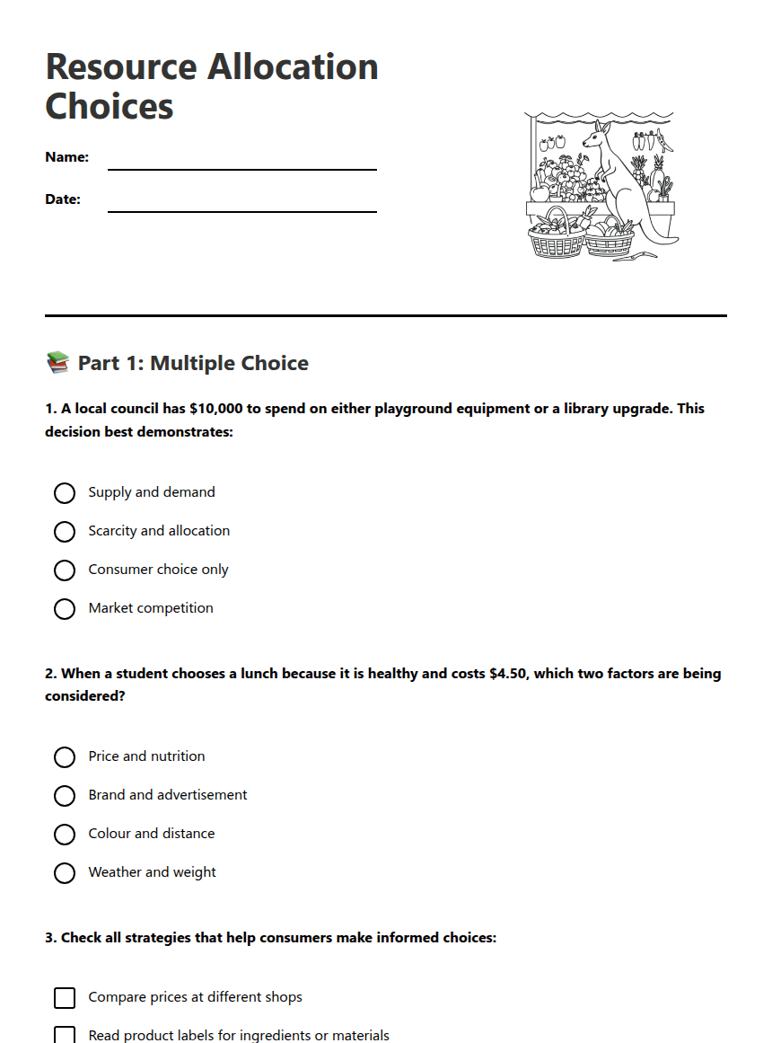 Resource Allocation Choices worksheet preview