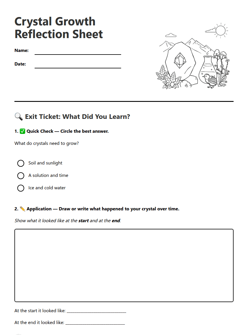 Crystal Growth Reflection Sheet worksheet preview