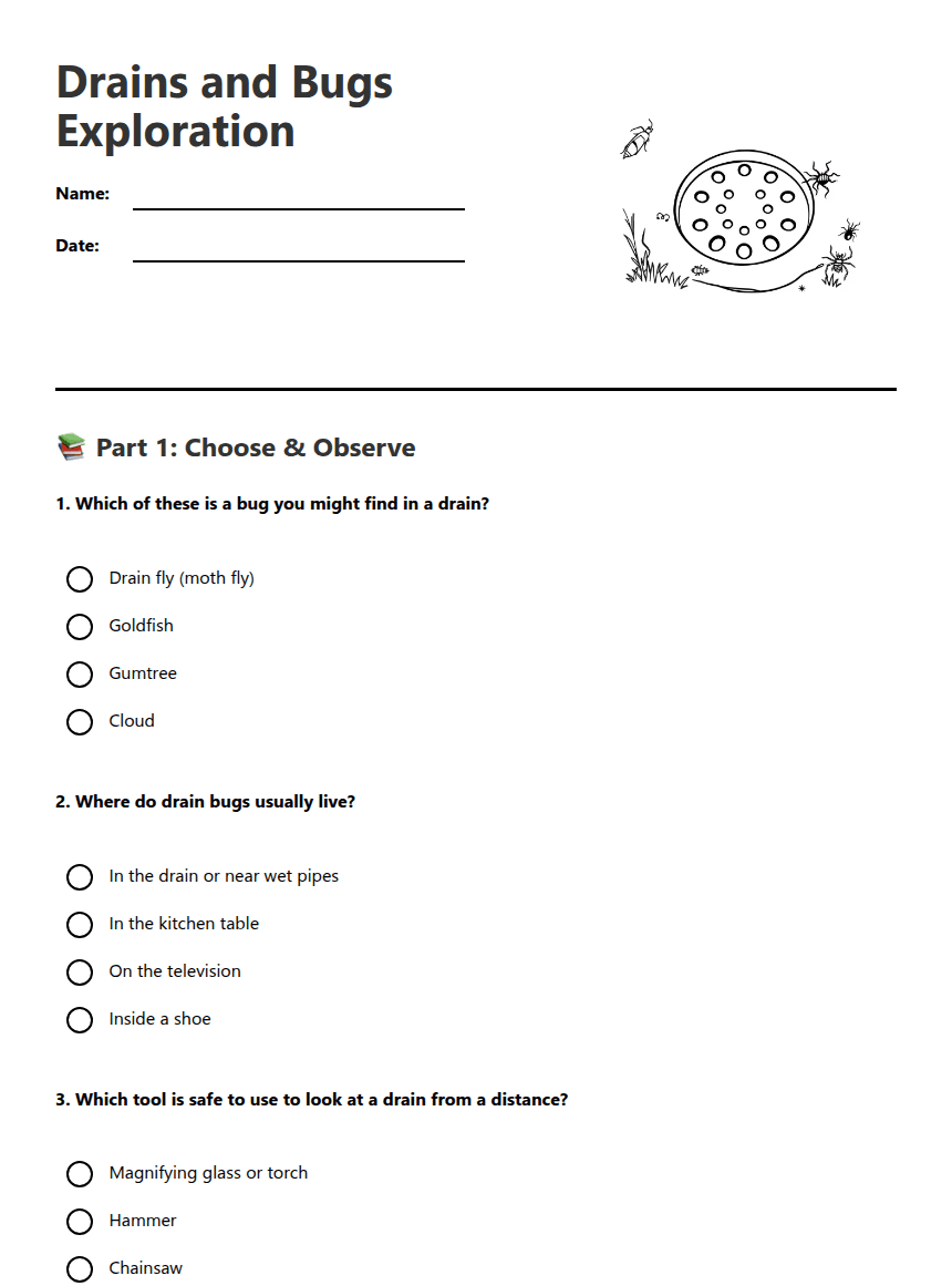 Drains and Bugs Exploration worksheet preview