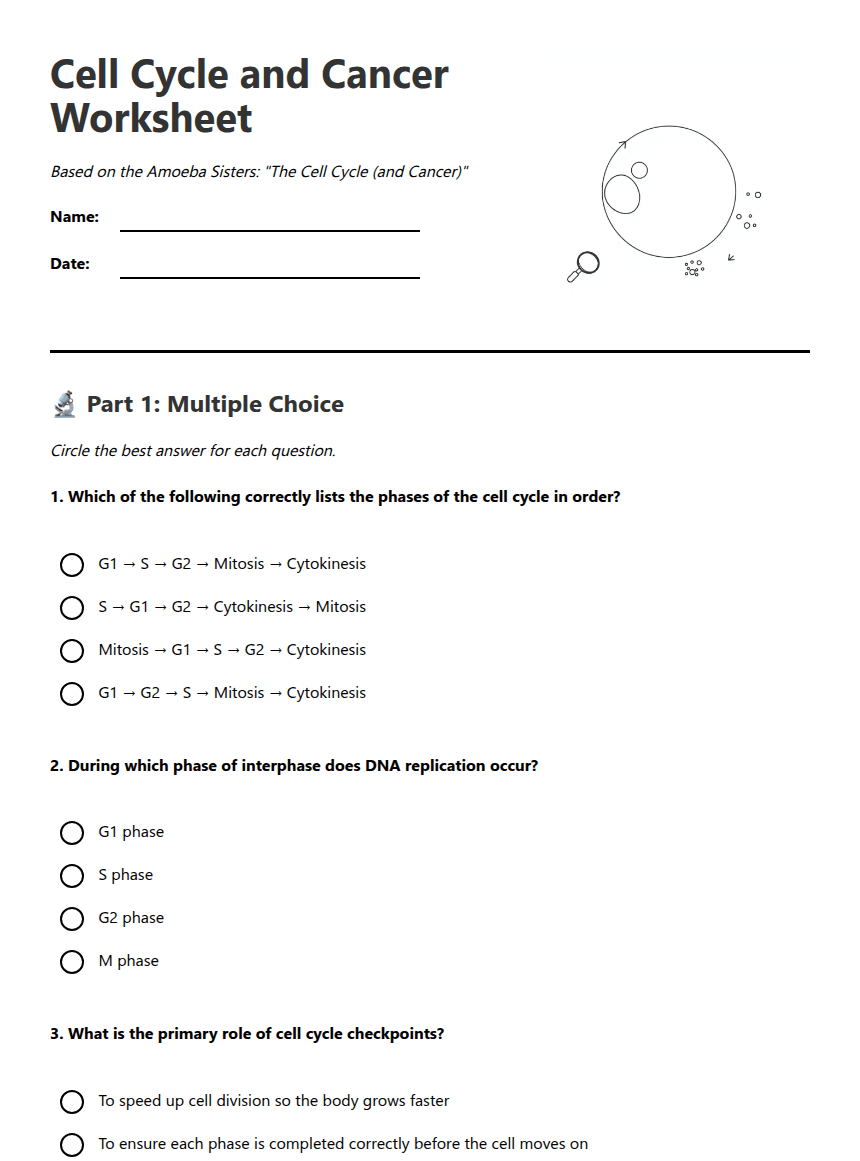Cell Cycle and Cancer Worksheet worksheet preview