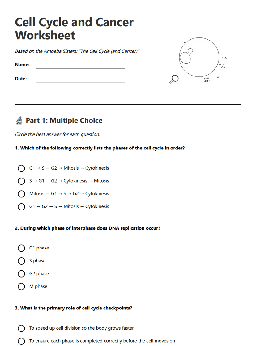 Cell Cycle and Cancer Worksheet