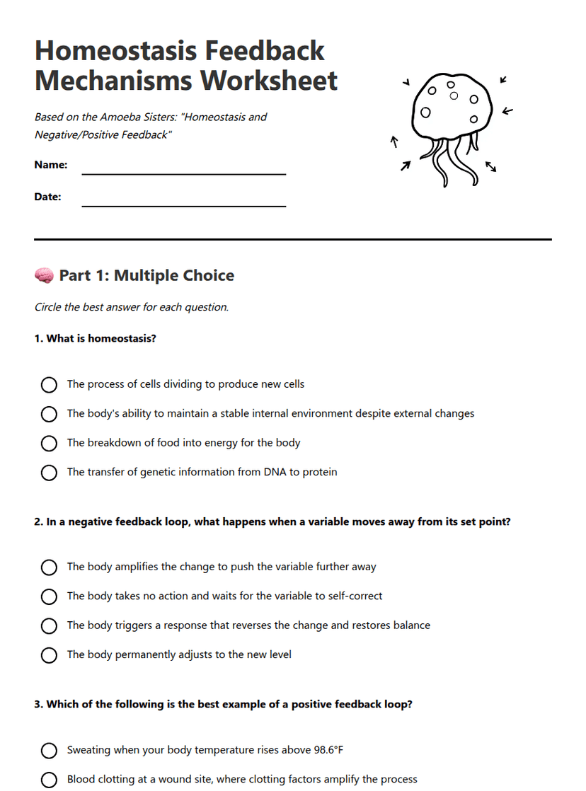 Homeostasis Feedback Mechanisms Worksheet