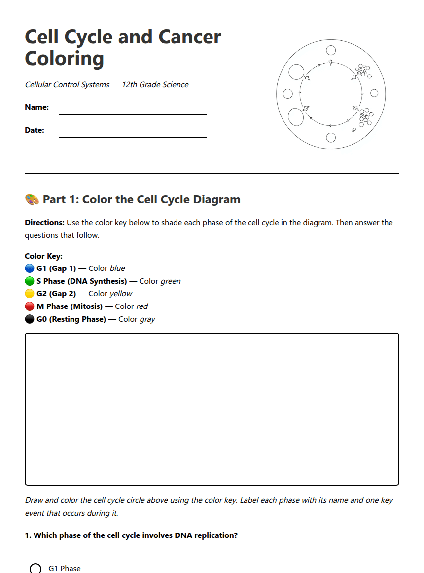 Cell Cycle and Cancer Coloring worksheet preview