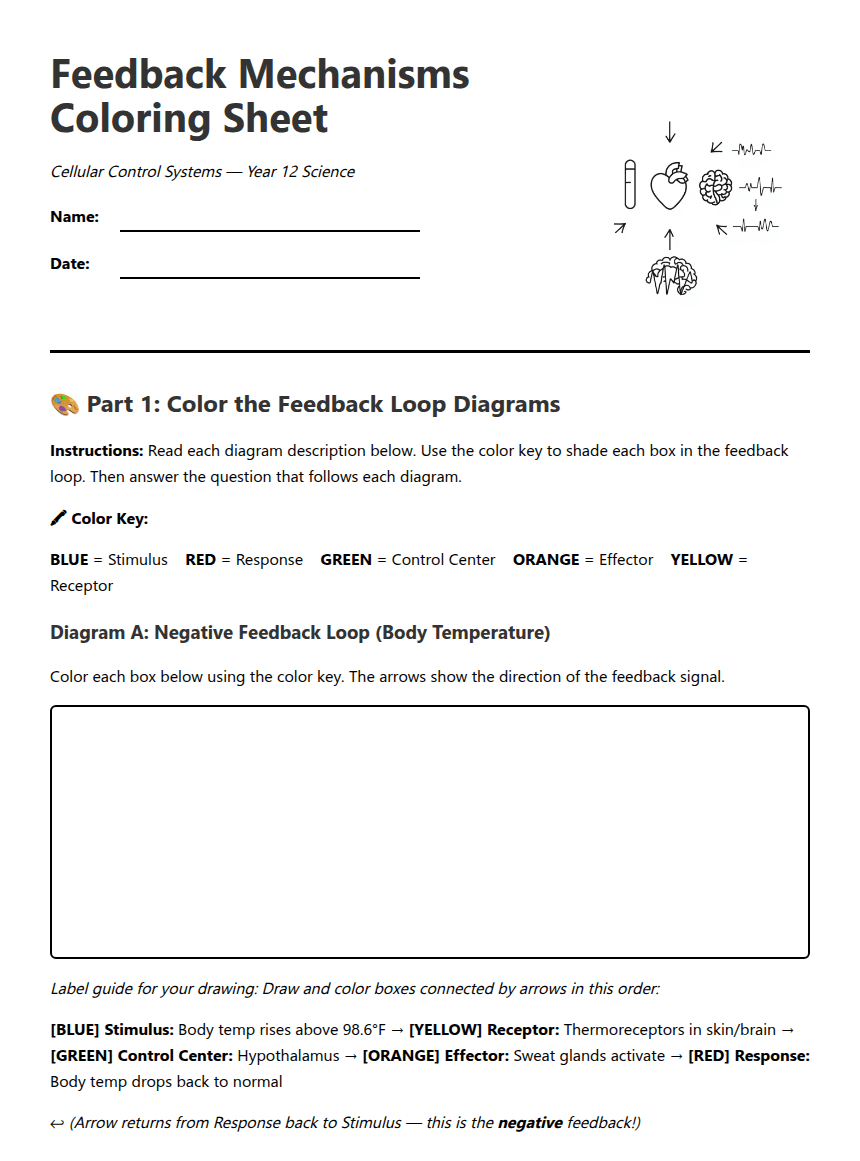Feedback Mechanisms Coloring Sheet worksheet preview