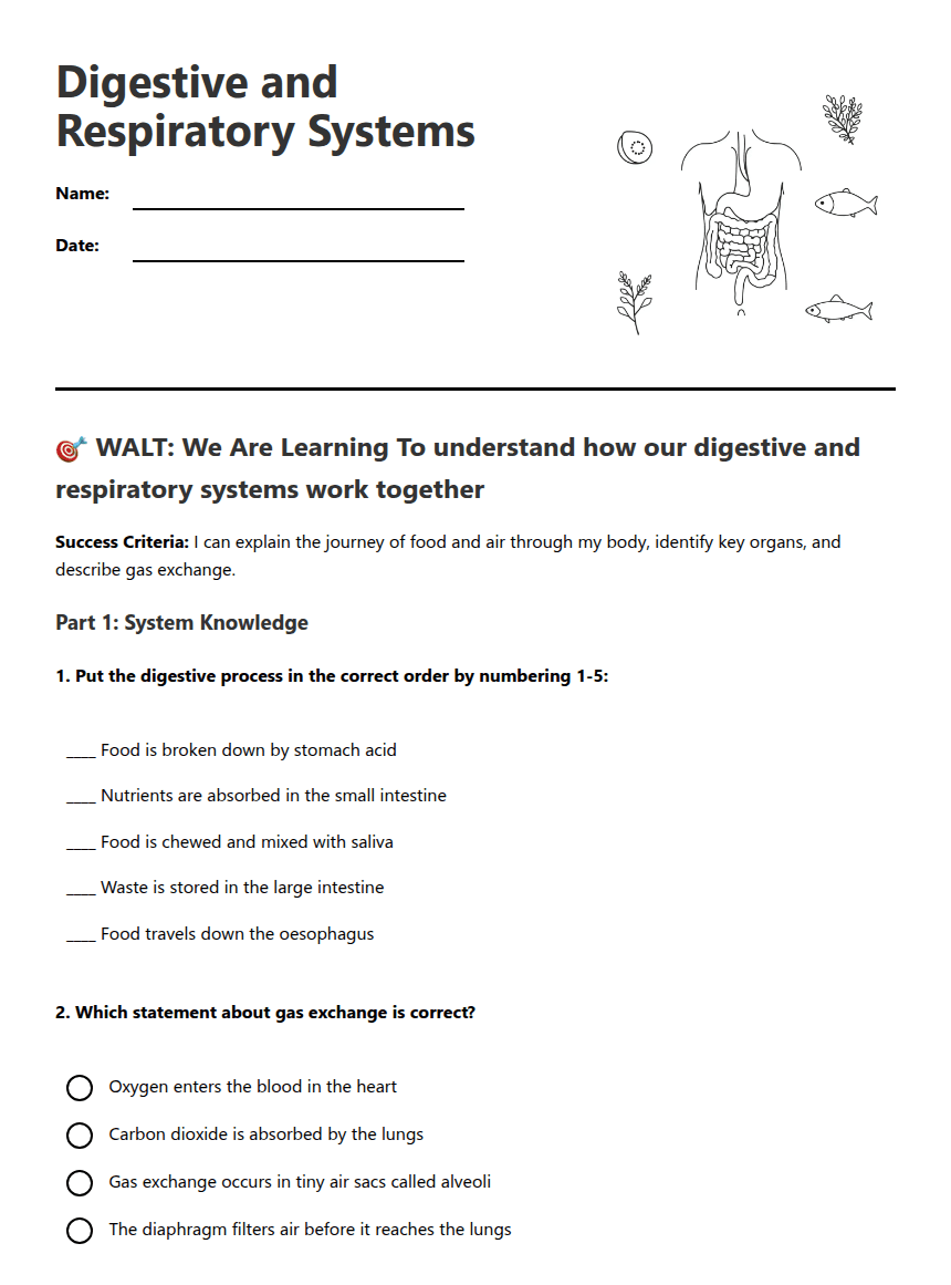 Digestive and Respiratory Systems worksheet preview