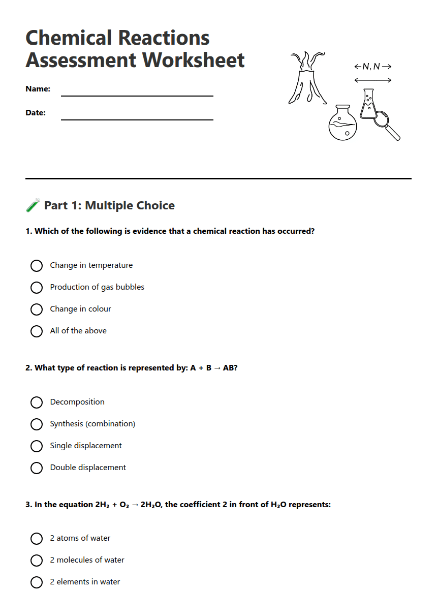 Chemical Reactions Assessment Worksheet worksheet preview