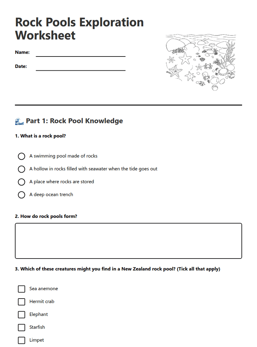 Rock Pools Exploration Worksheet