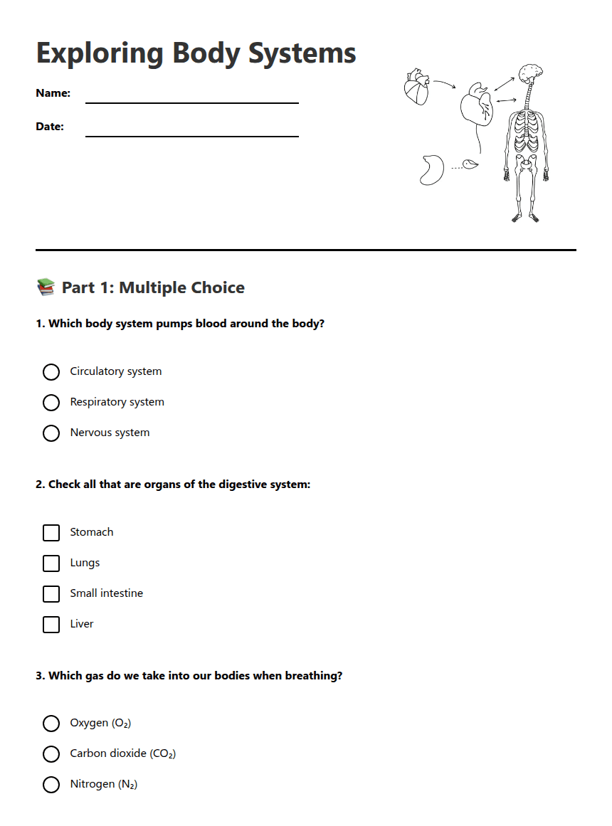 Exploring Body Systems worksheet preview
