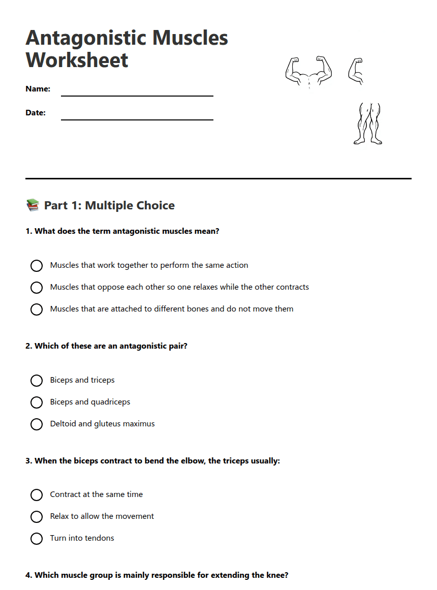 Antagonistic Muscles Worksheet worksheet preview
