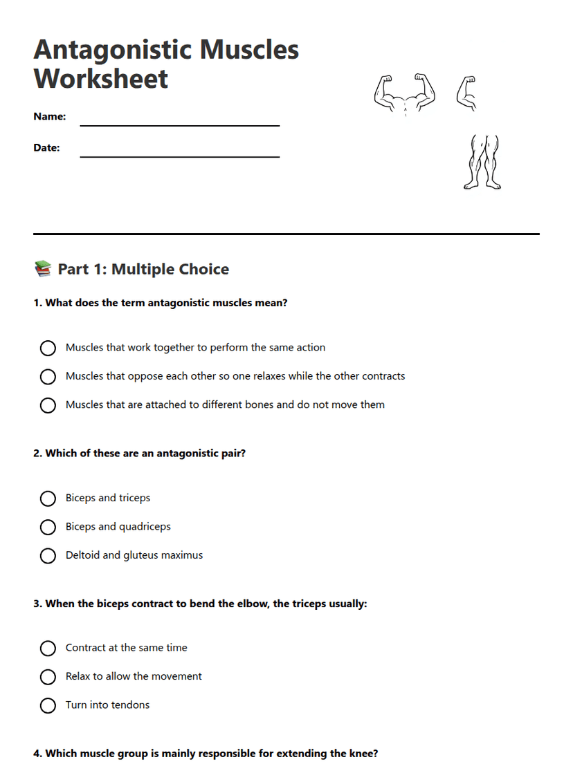 Antagonistic Muscles Worksheet