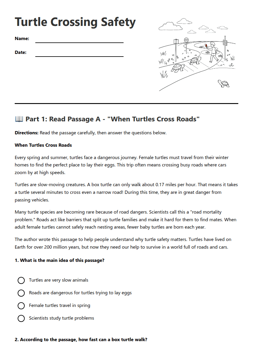 Turtle Safety Reading Passages worksheet preview