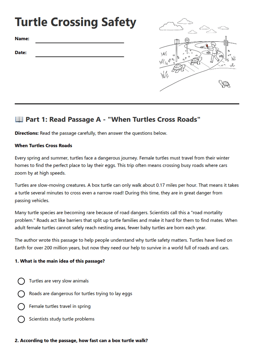 Turtle Safety Reading Passages