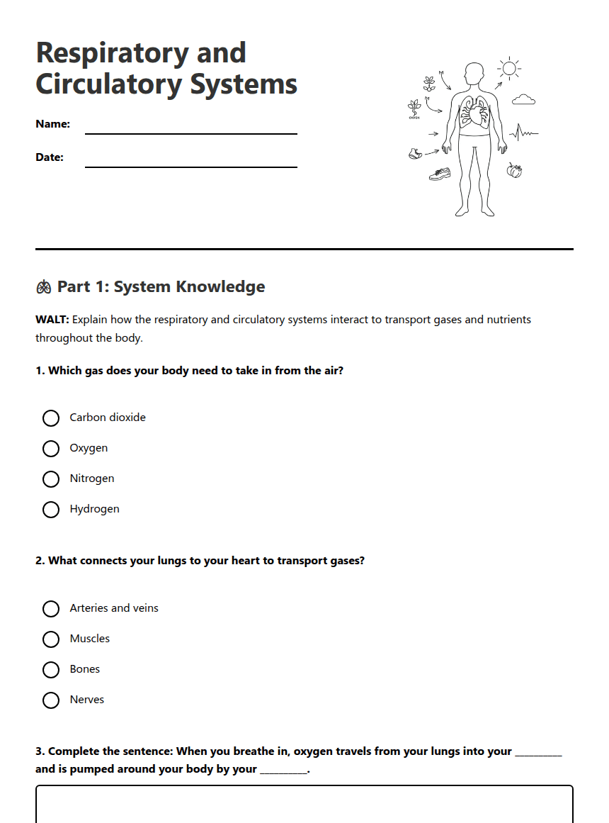 Respiratory and Circulatory Systems worksheet preview