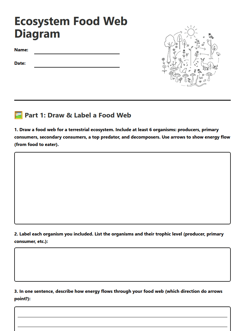Ecosystem Food Web Diagram worksheet preview