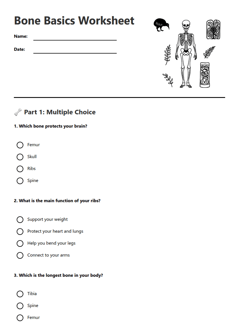 Bone Basics Worksheet
