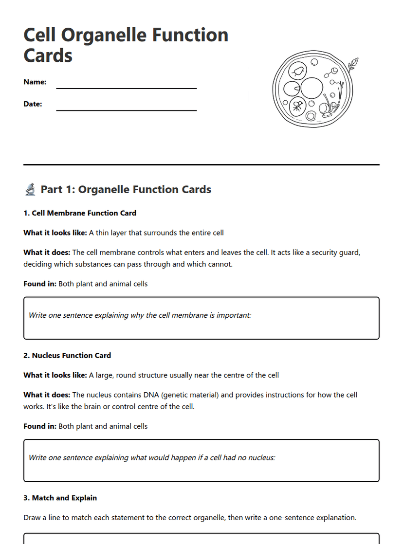 Cell Organelle Function Cards