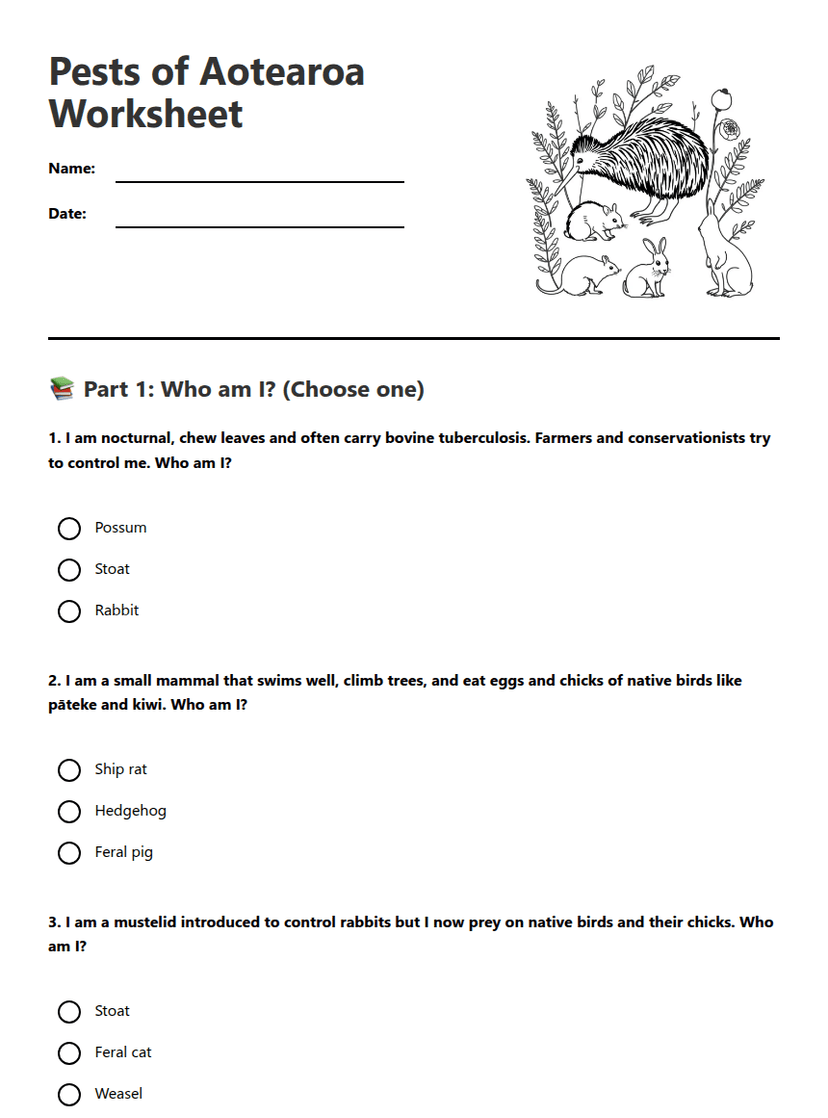 Pests of Aotearoa Worksheet
