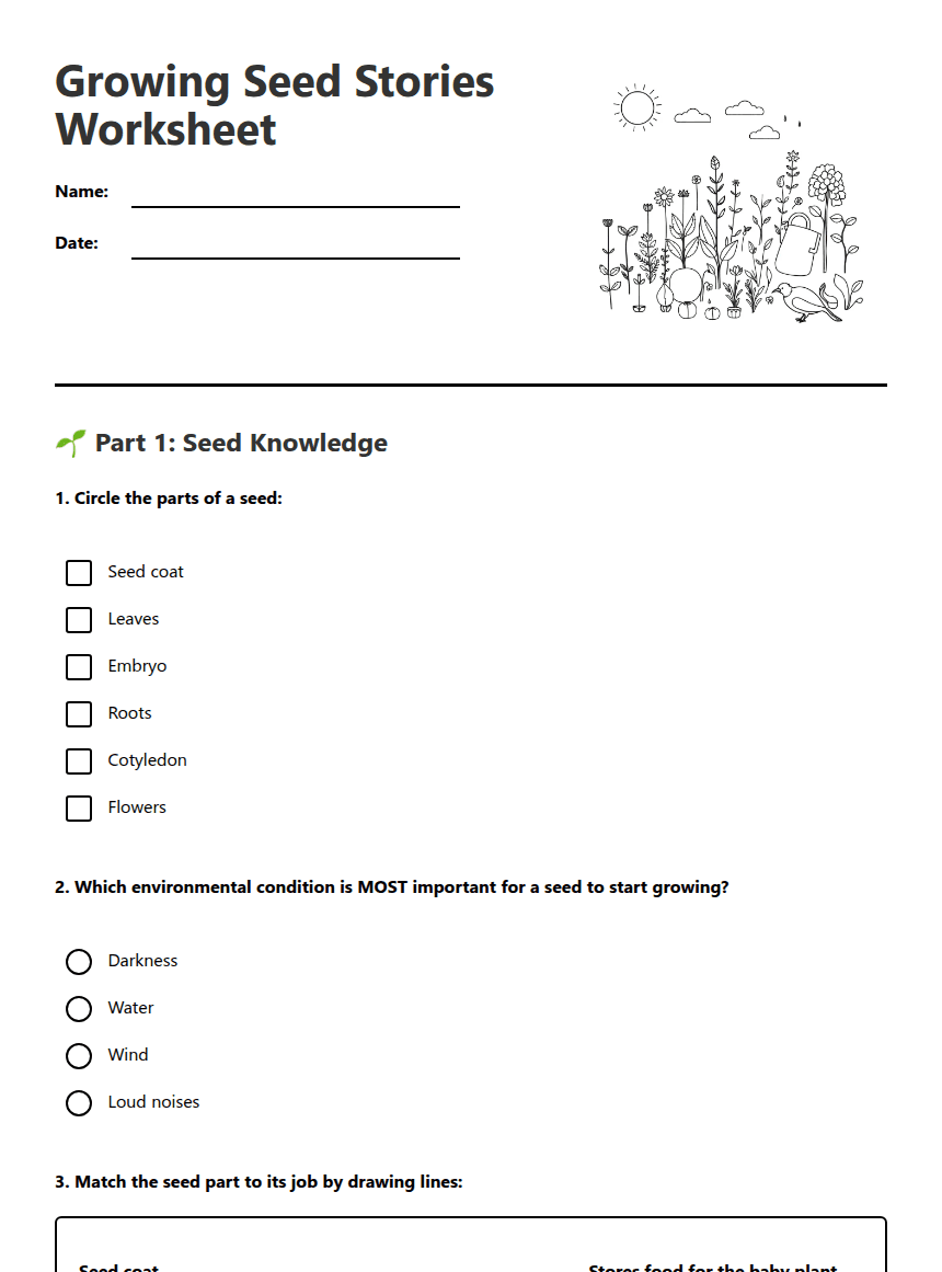 Growing Seed Stories Worksheet worksheet preview