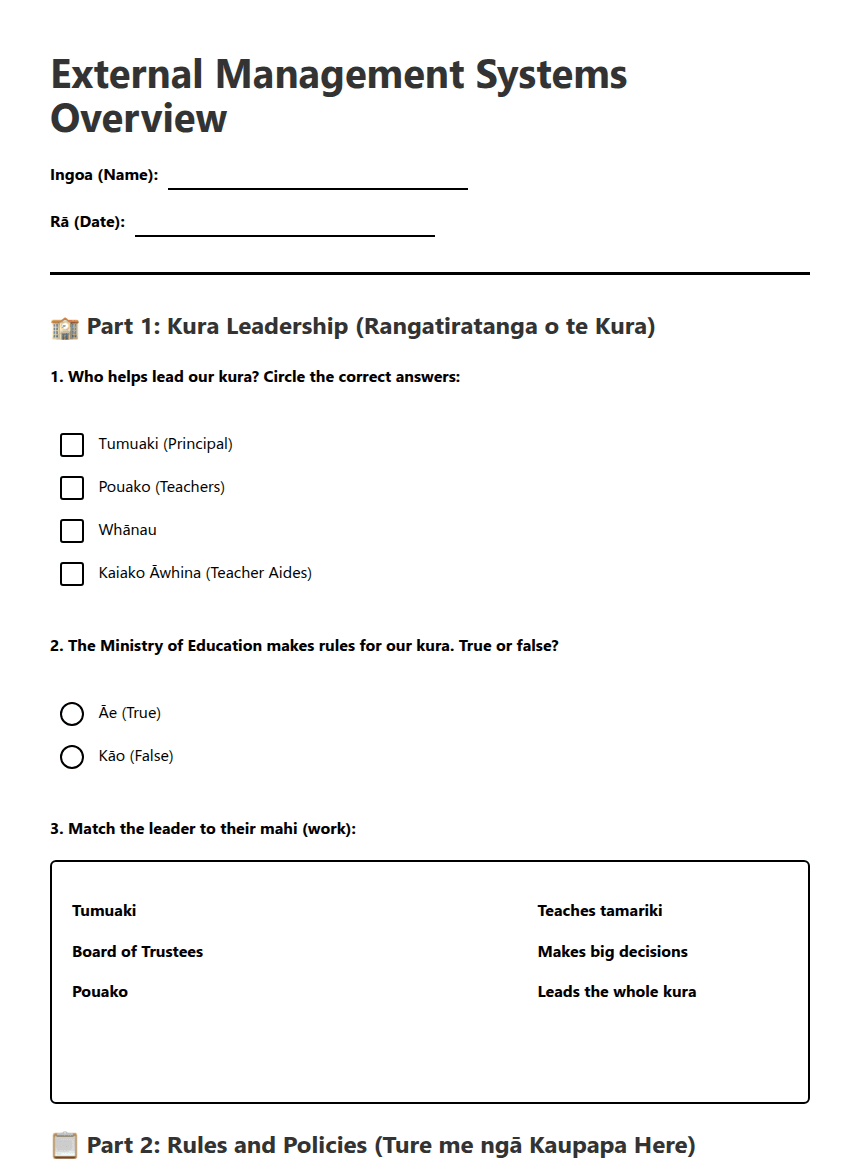 External Management Systems Overview worksheet preview