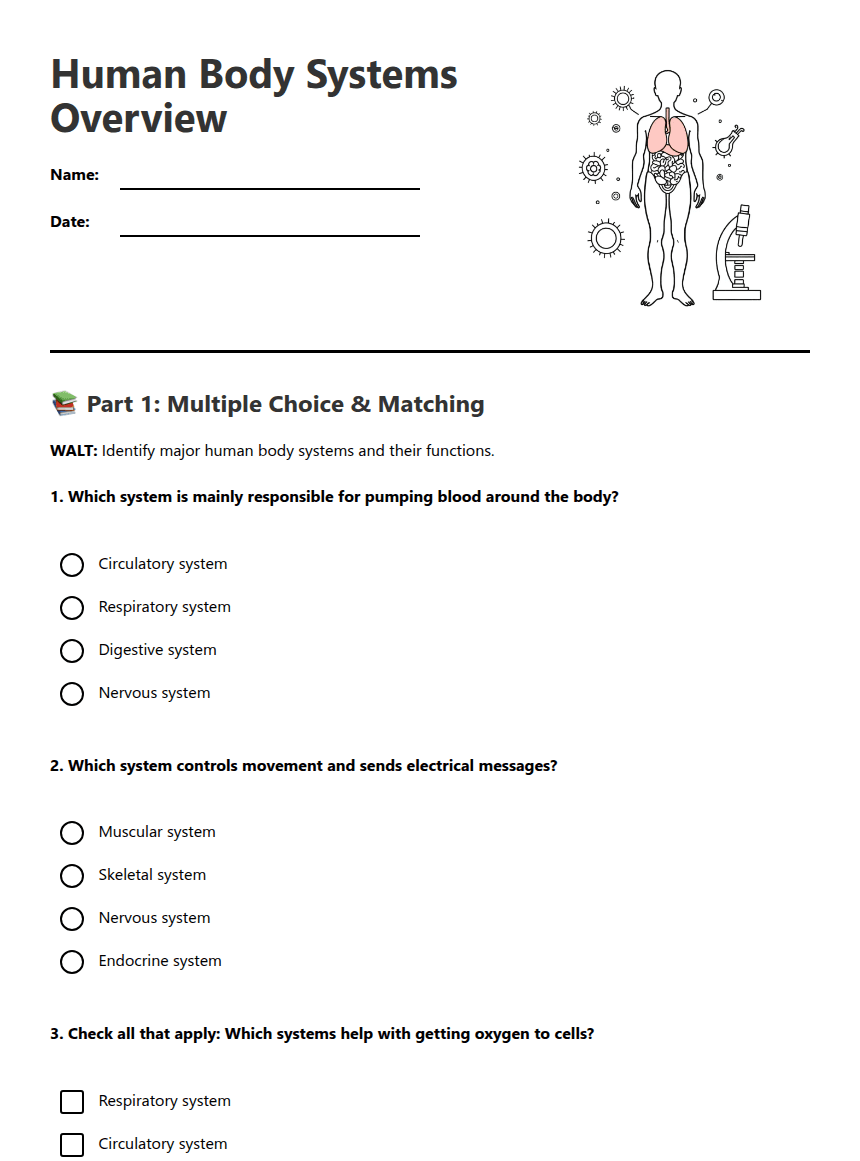 Human Body Systems Overview worksheet preview