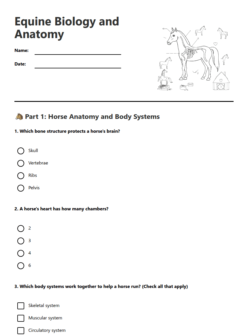 Equine Biology and Anatomy worksheet preview