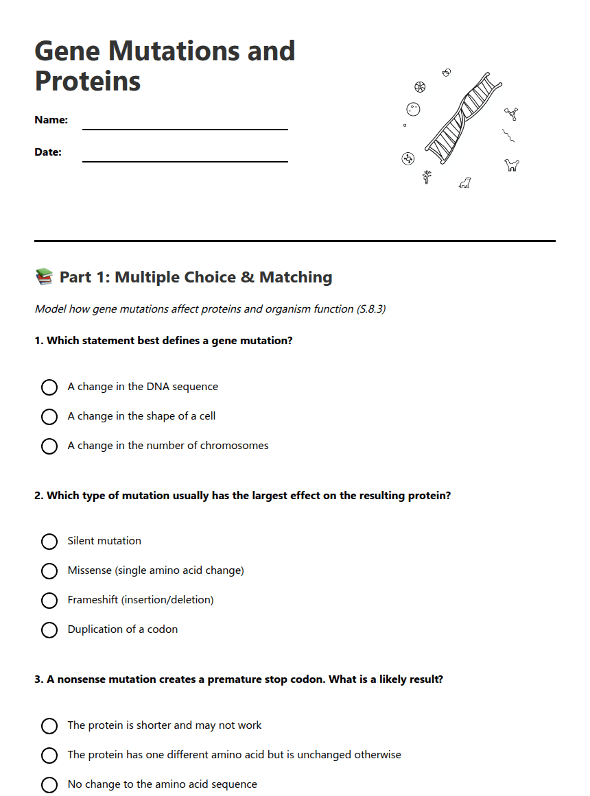 Gene Mutations and Proteins worksheet preview