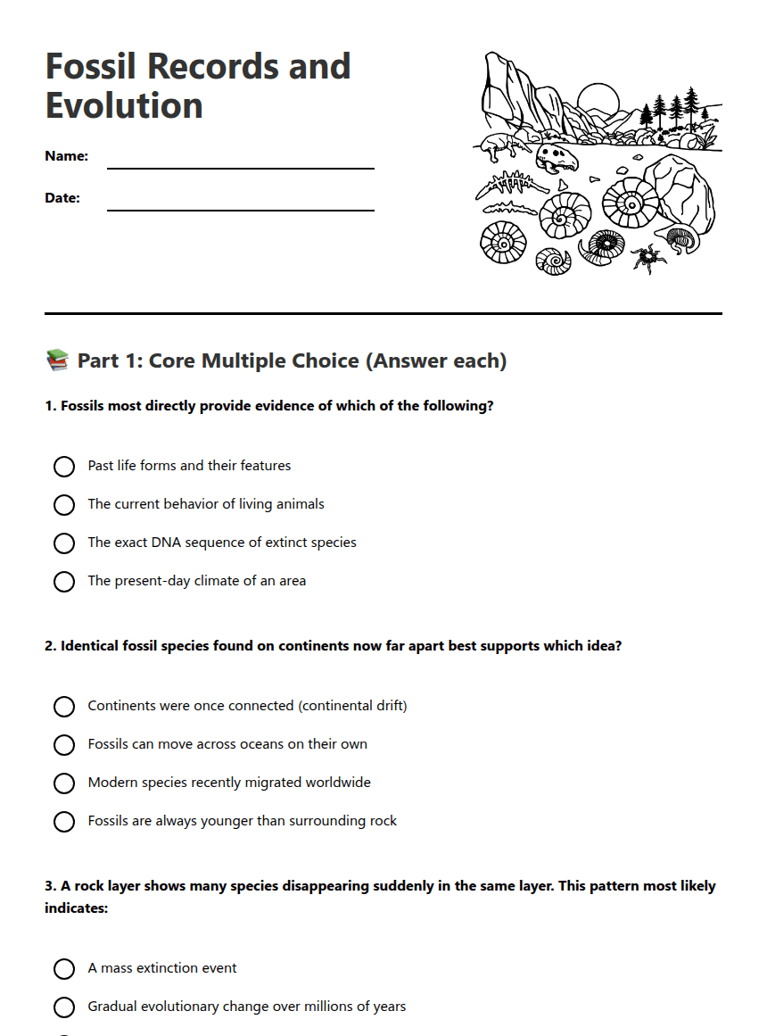 Fossil Records and Evolution worksheet preview