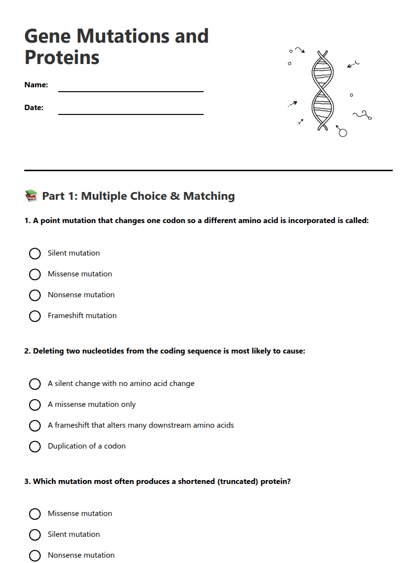 Gene Mutations and Proteins worksheet preview