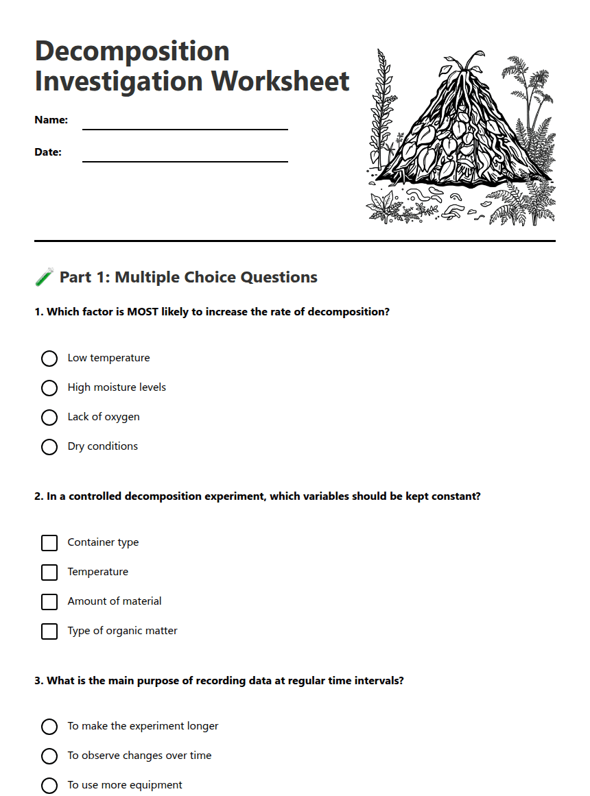 Decomposition Investigation Worksheet worksheet preview