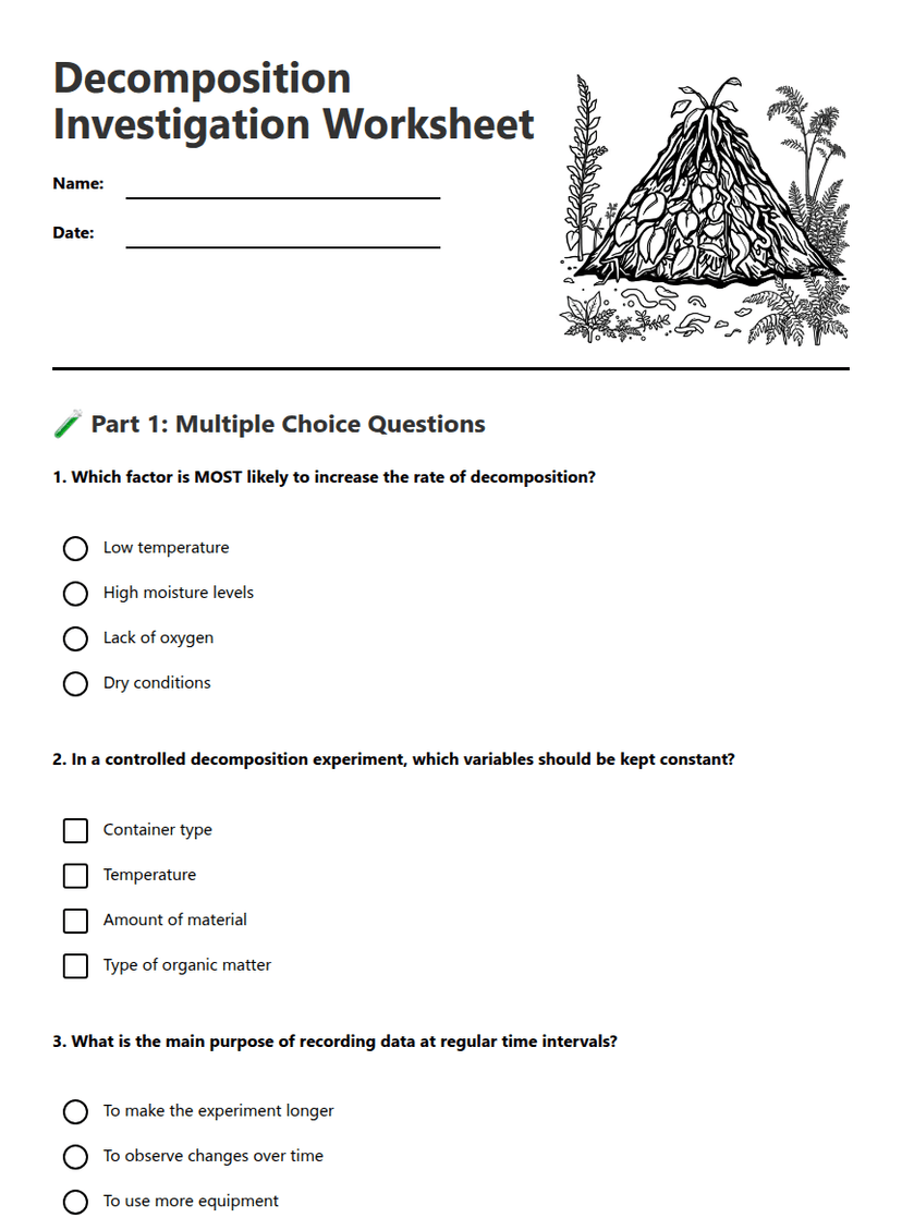 Decomposition Investigation Worksheet