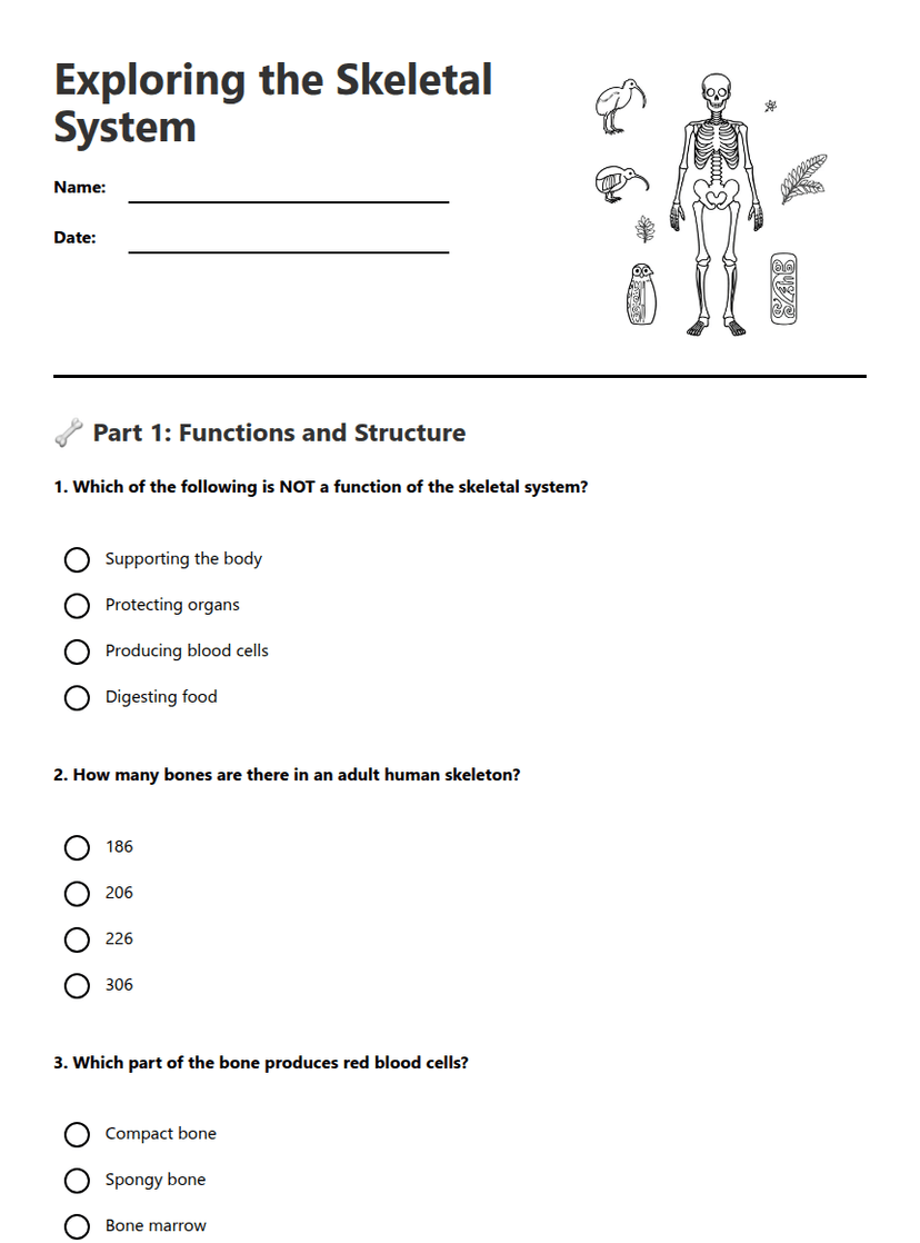 Exploring the Skeletal System