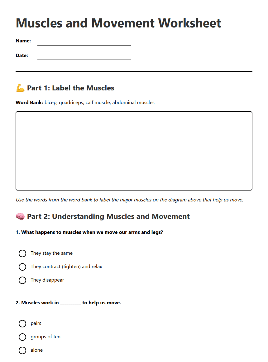 Muscles and Movement Worksheet worksheet preview