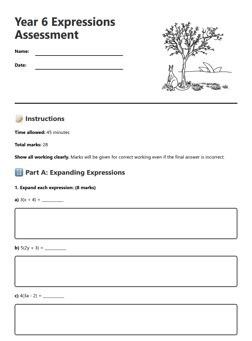 Year 6 Expressions Assessment worksheet preview