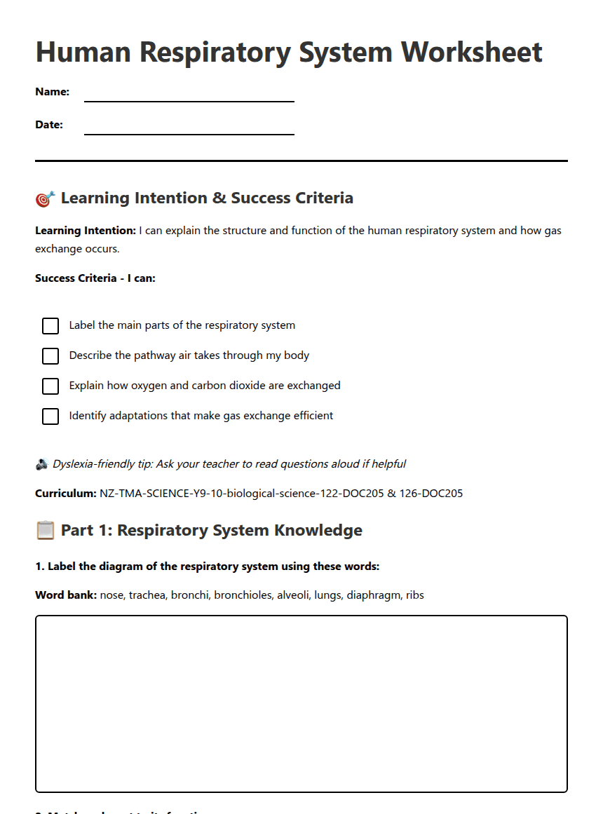Human Respiratory System Worksheet worksheet preview
