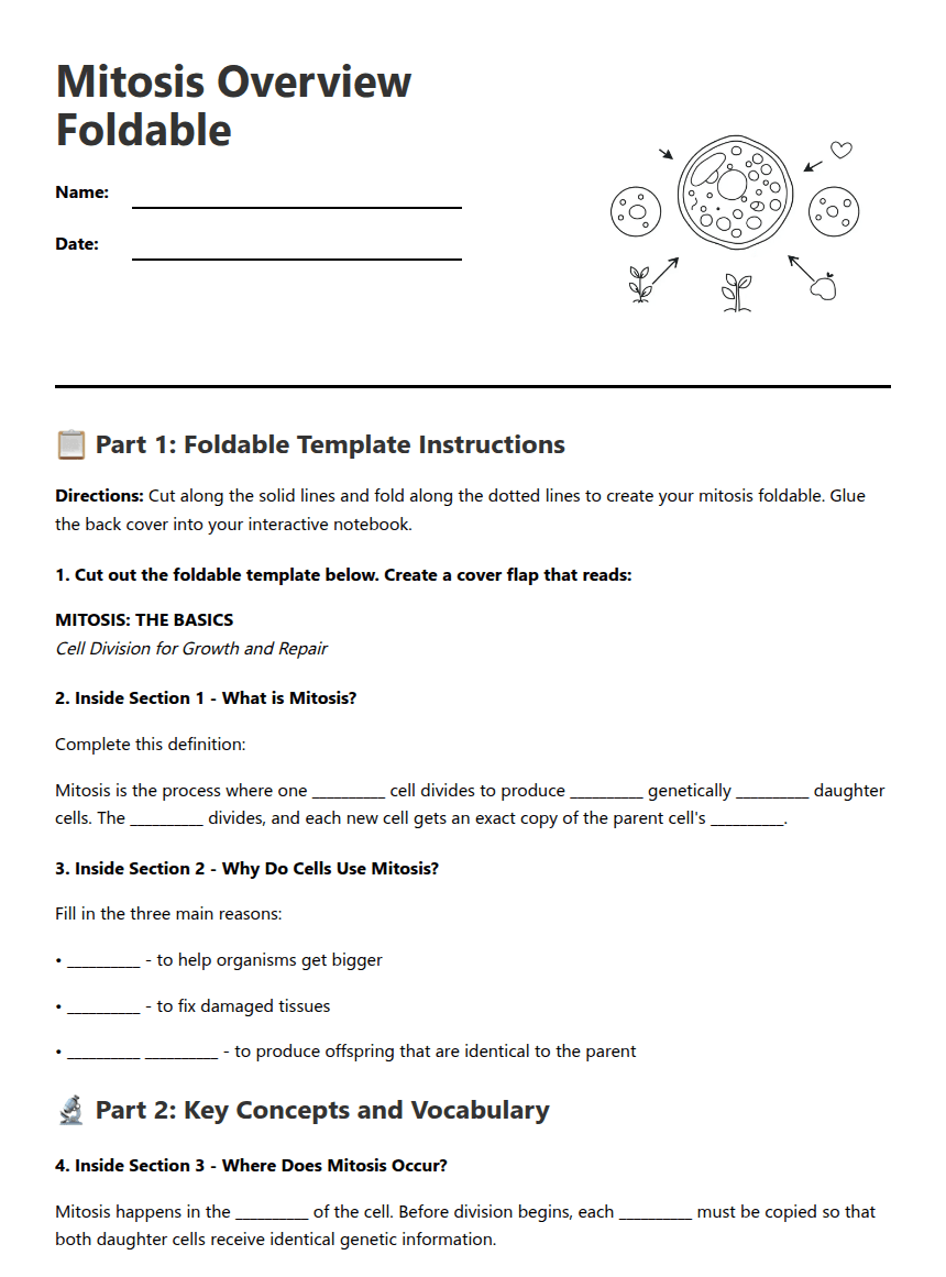 Mitosis Overview Foldable worksheet preview
