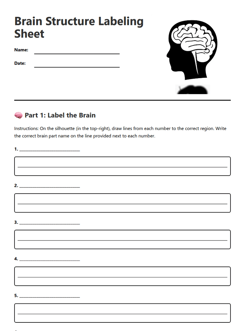 Brain Structure Labeling Sheet