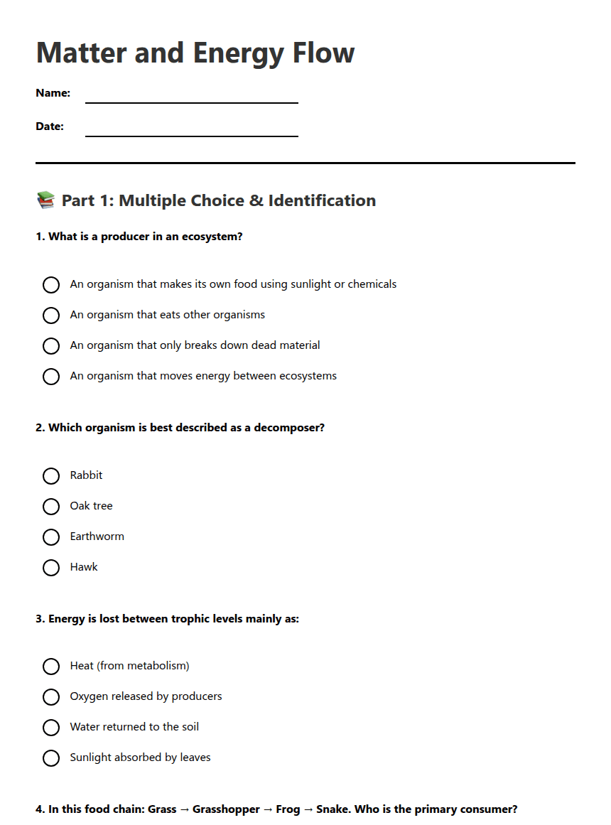 Matter and Energy Flow worksheet preview