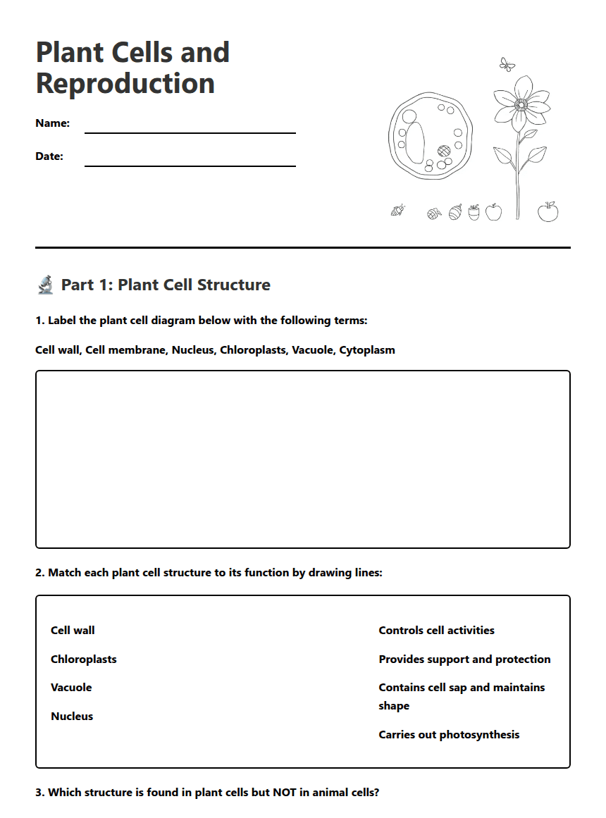Plant Cells and Reproduction worksheet preview